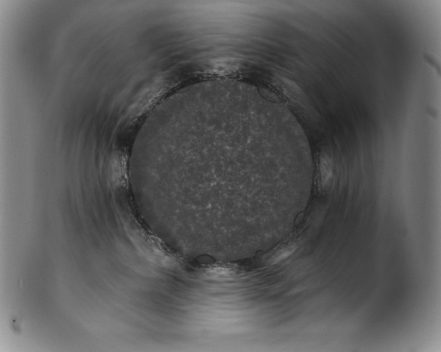 X0000102240236200808081443