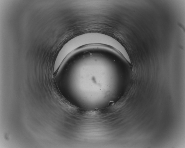 X0000102240237200808081443