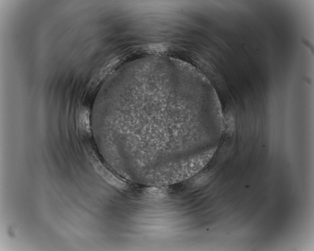 X0000102240238200808081443