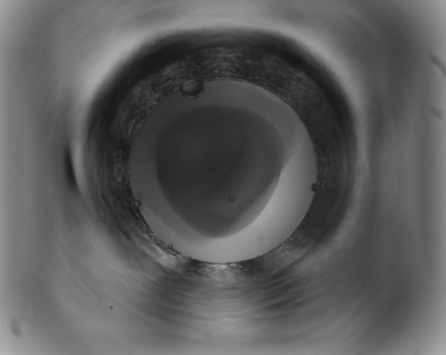 X0000102240239200808081443