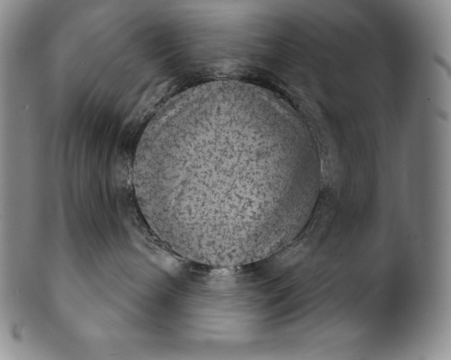 X0000102240240200808081443