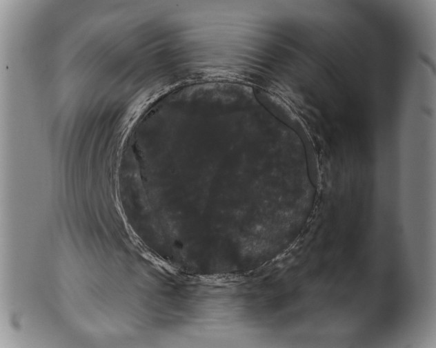 X0000102240241200808081443