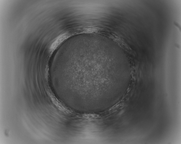 X0000102240242200808081443