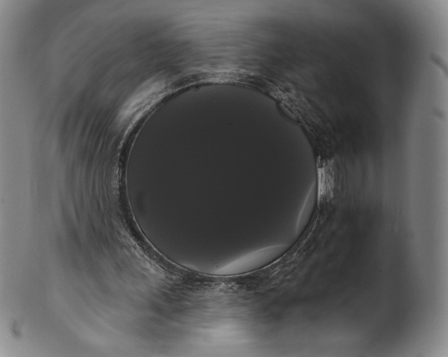 X0000102240243200808081443