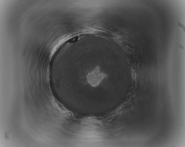 X0000102240244200808081443