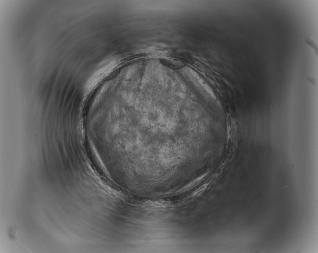 X0000102240245200808081443