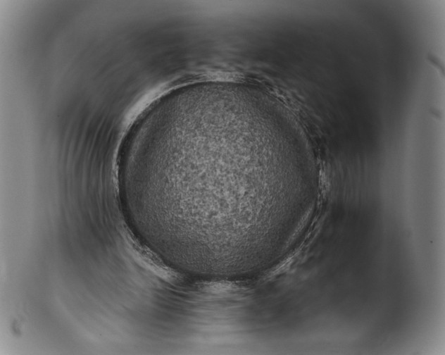 X0000102240246200808081443