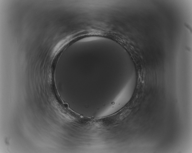 X0000102240247200808081443