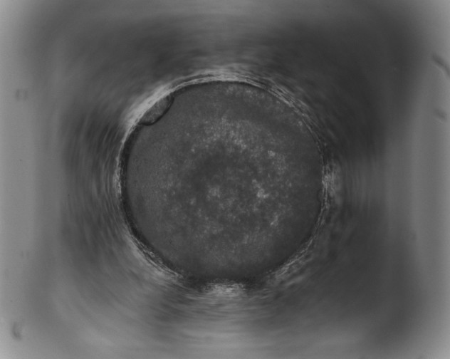 X0000102240248200808081443