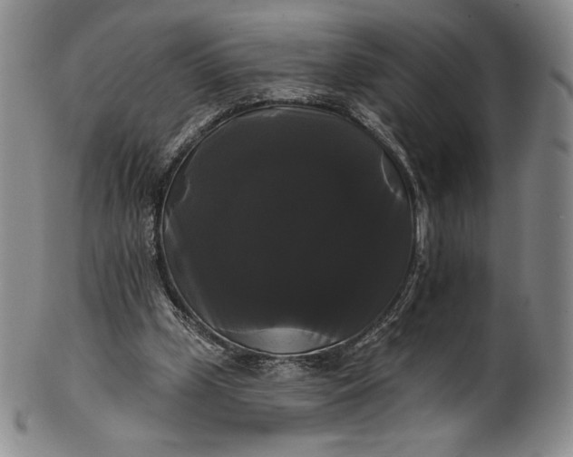 X0000102240249200808081443