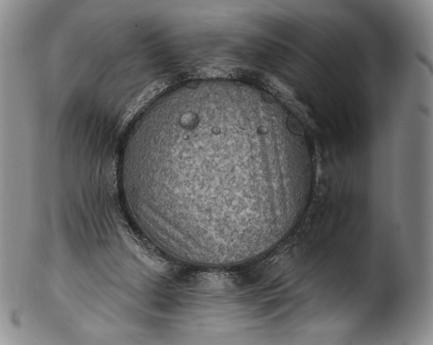 X0000102240250200808081443