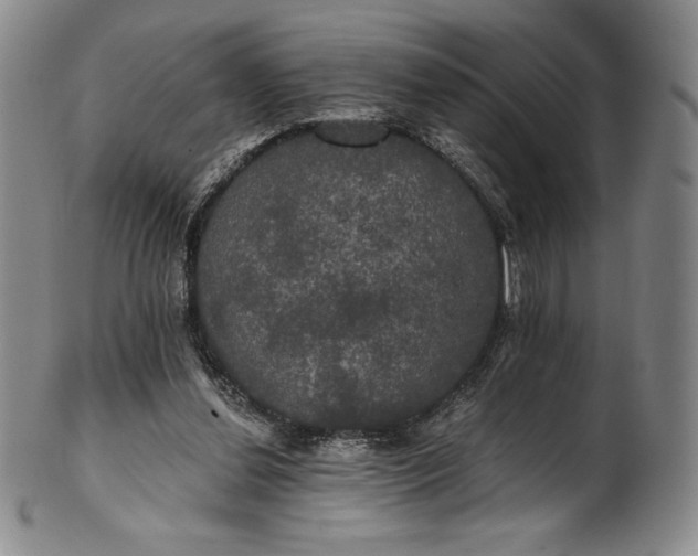 X0000102240252200808081443