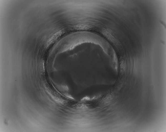 X0000102240254200808081443