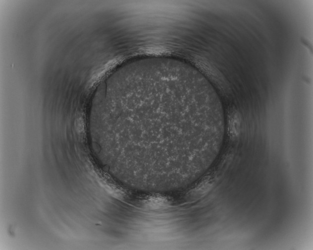 X0000102240256200808081443