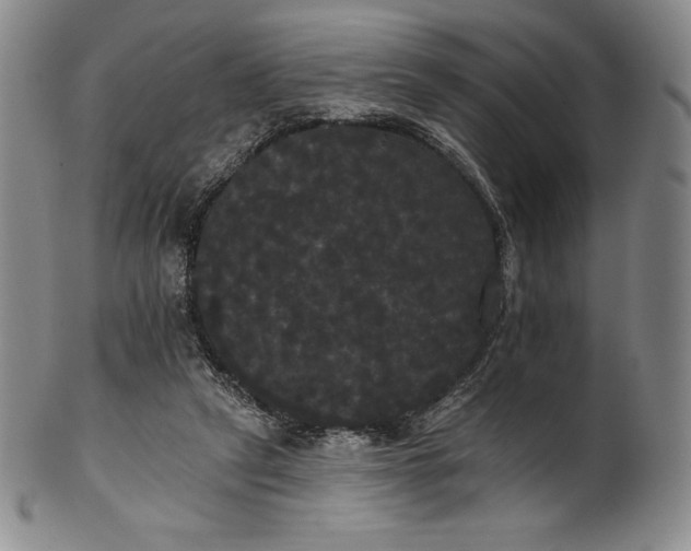 X0000102240257200808081443