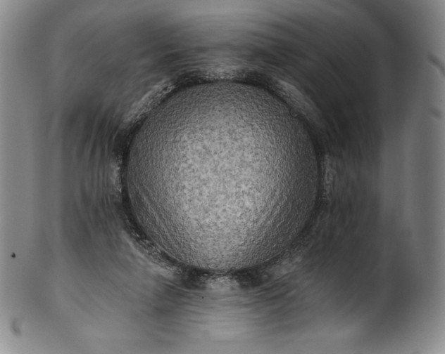 X0000102240258200808081443