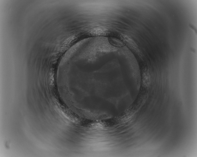 X0000102240259200808081443