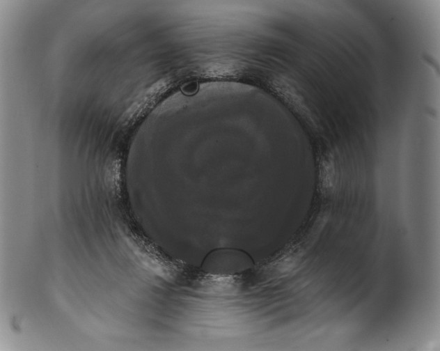 X0000102240260200808081443