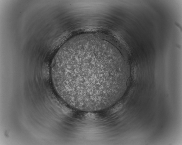 X0000102240261200808081443