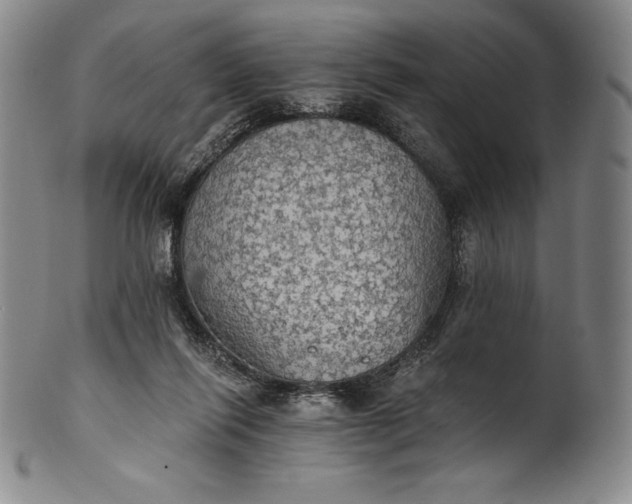 X0000102240262200808081443