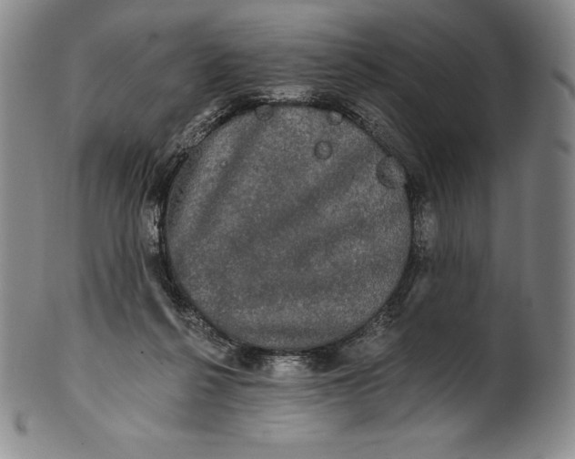 X0000102240264200808081443