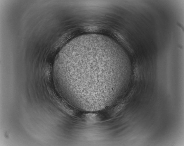 X0000102240265200808081443