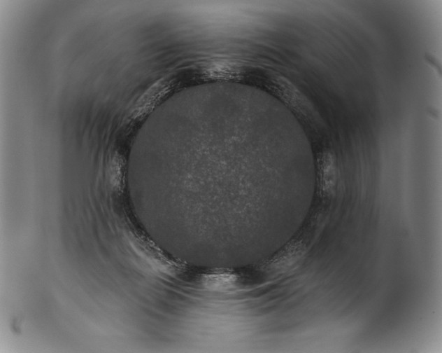 X0000102240266200808081443