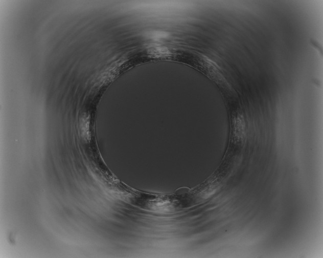 X0000102240267200808081443