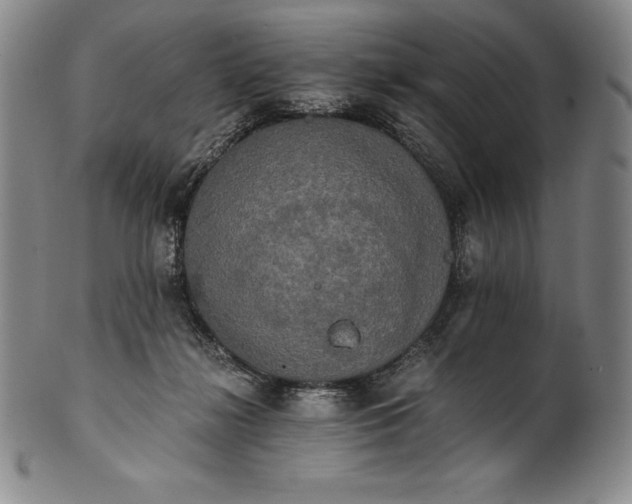 X0000102240268200808081443