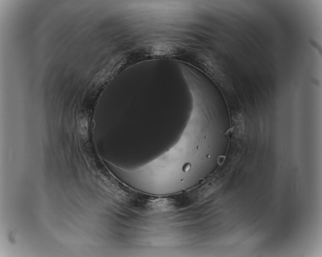 X0000102240269200808081443