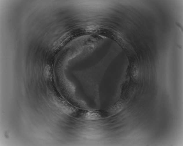 X0000102240270200808081443