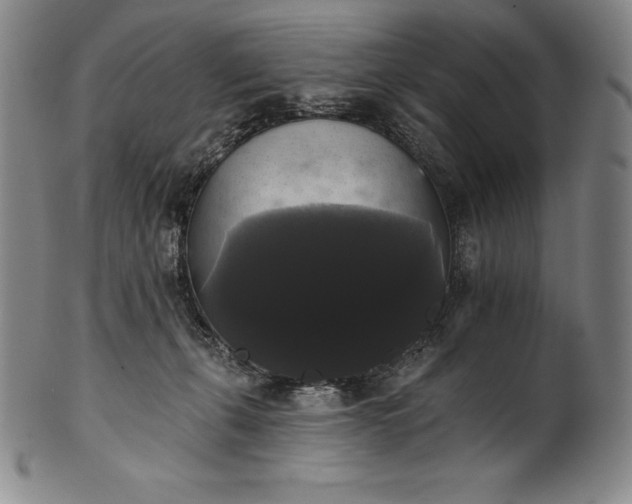 X0000102240271200808081443