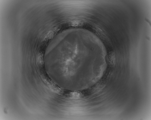 X0000102240272200808081443