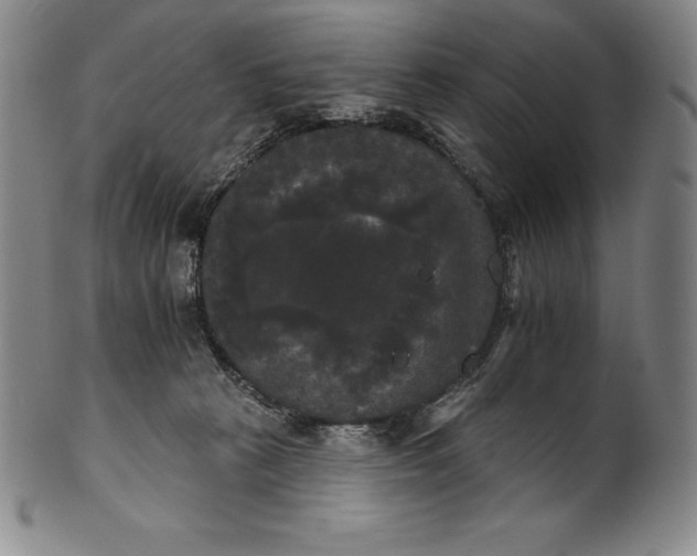 X0000102240273200808081443