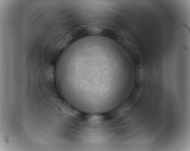 X0000102240274200808081443