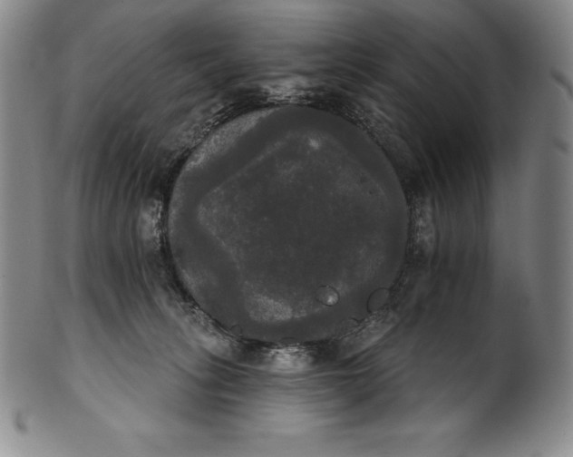 X0000102240275200808081443