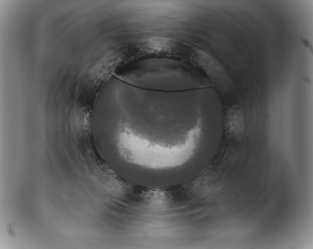 X0000102240276200808081443