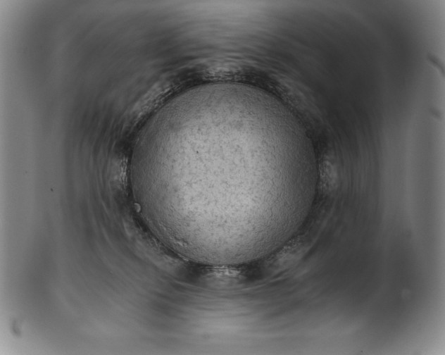 X0000102240278200808081443