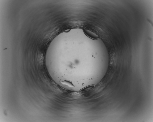 X0000102240279200808081443