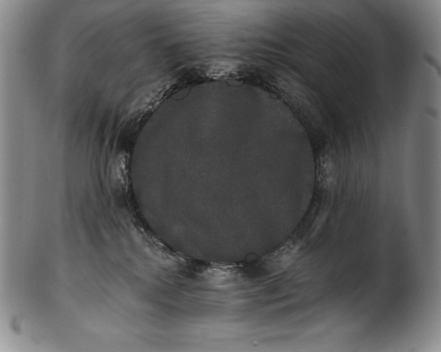 X0000102240280200808081443