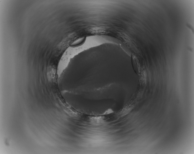 X0000102240281200808081443