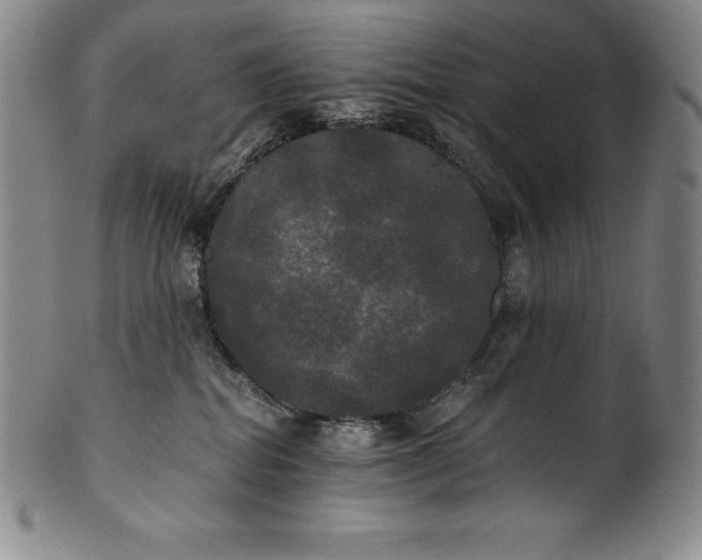 X0000102240282200808081443