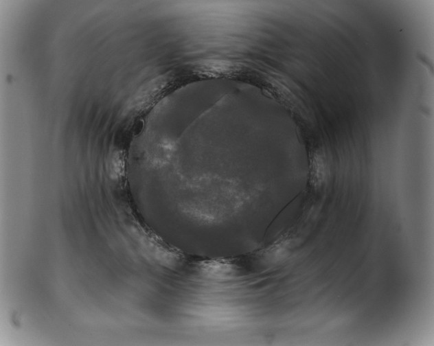 X0000102240284200808081443