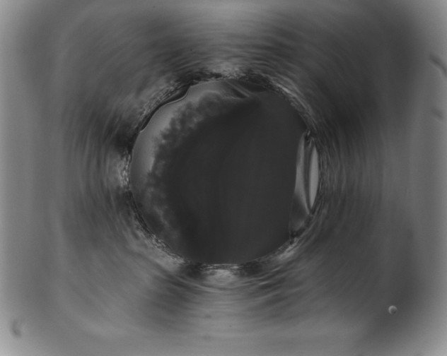 X0000102240285200808081443