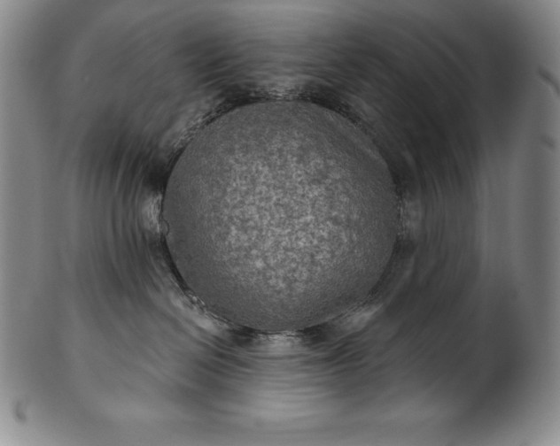 X0000102240286200808081443