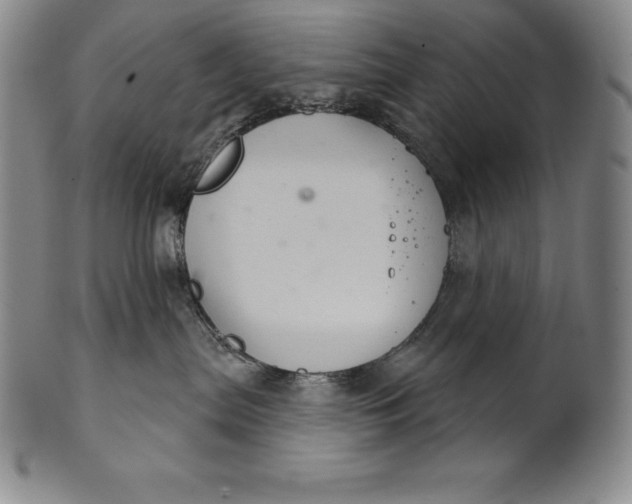 X0000102240287200808081443