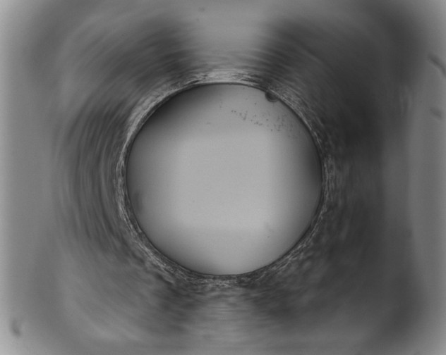 X0000102240289200808081443