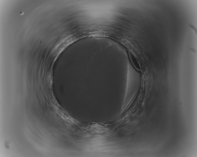 X0000102240290200808081443