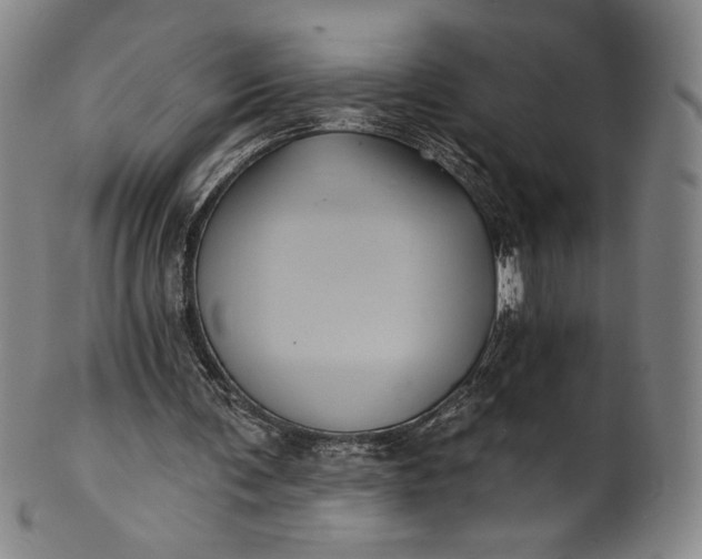 X0000102240291200808081443