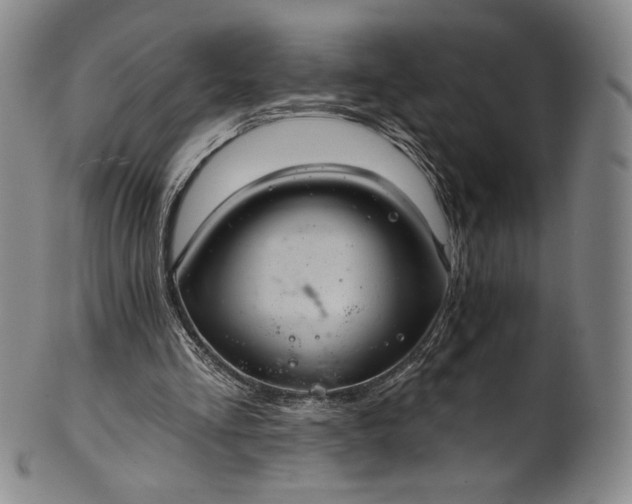 X0000102240293200808081442